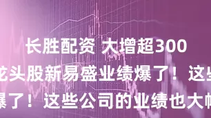 长胜配资 大增超300% 光模块龙头股新易盛业绩爆了！这些公司的业绩也大幅增长